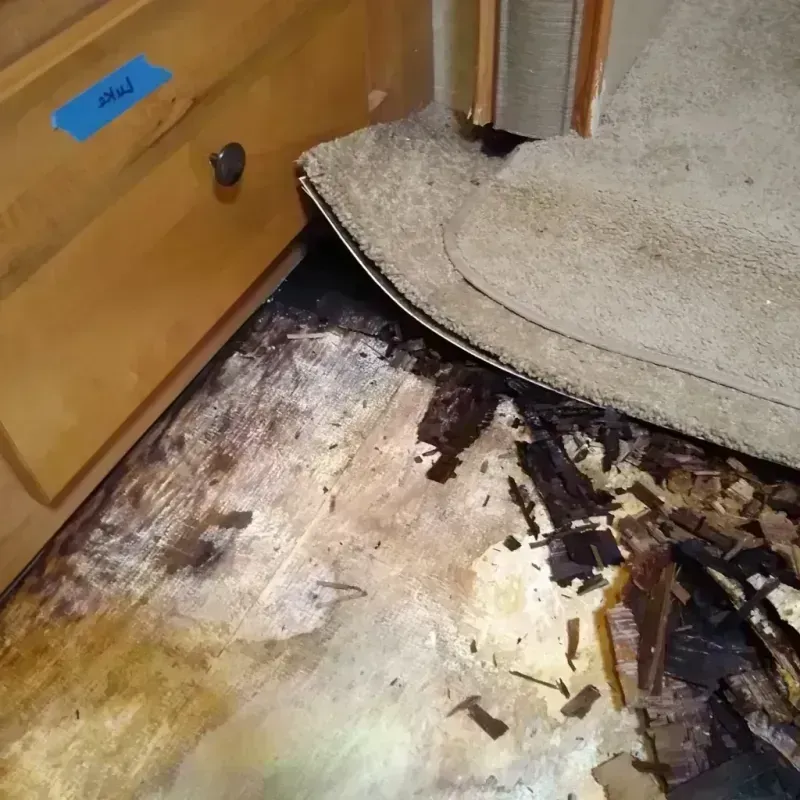 Wood Floor Water Damage in Colonia, NJ